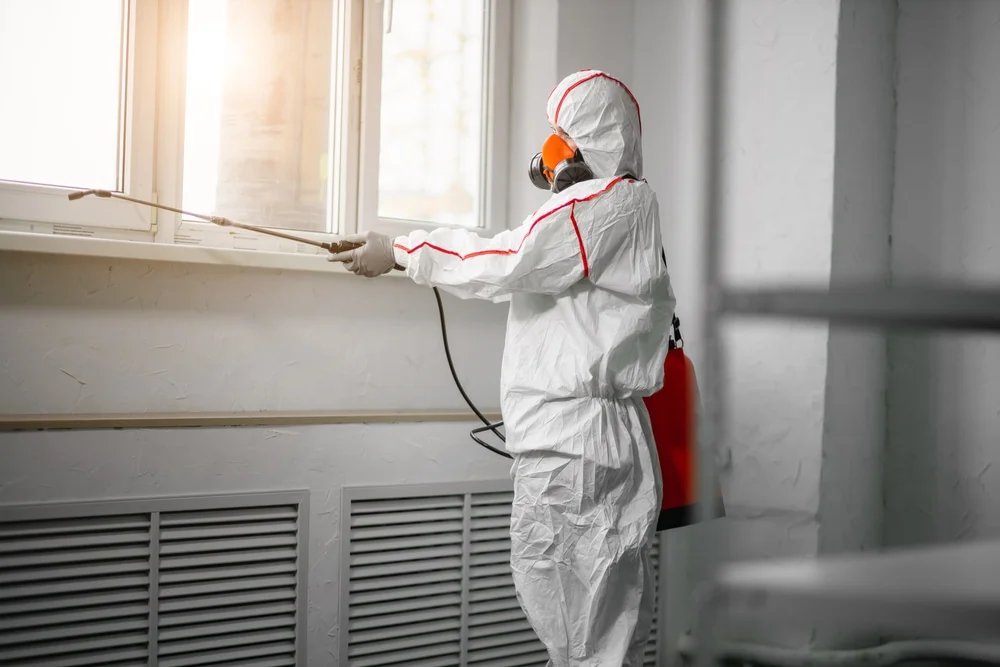Professional mold remediation services in Greer, SC